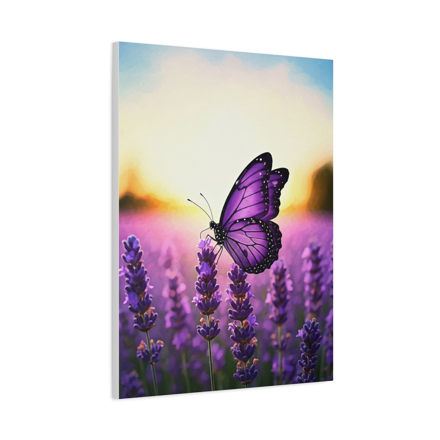 Lavender Field Purple Butterfly Wall Art & Canvas Prints