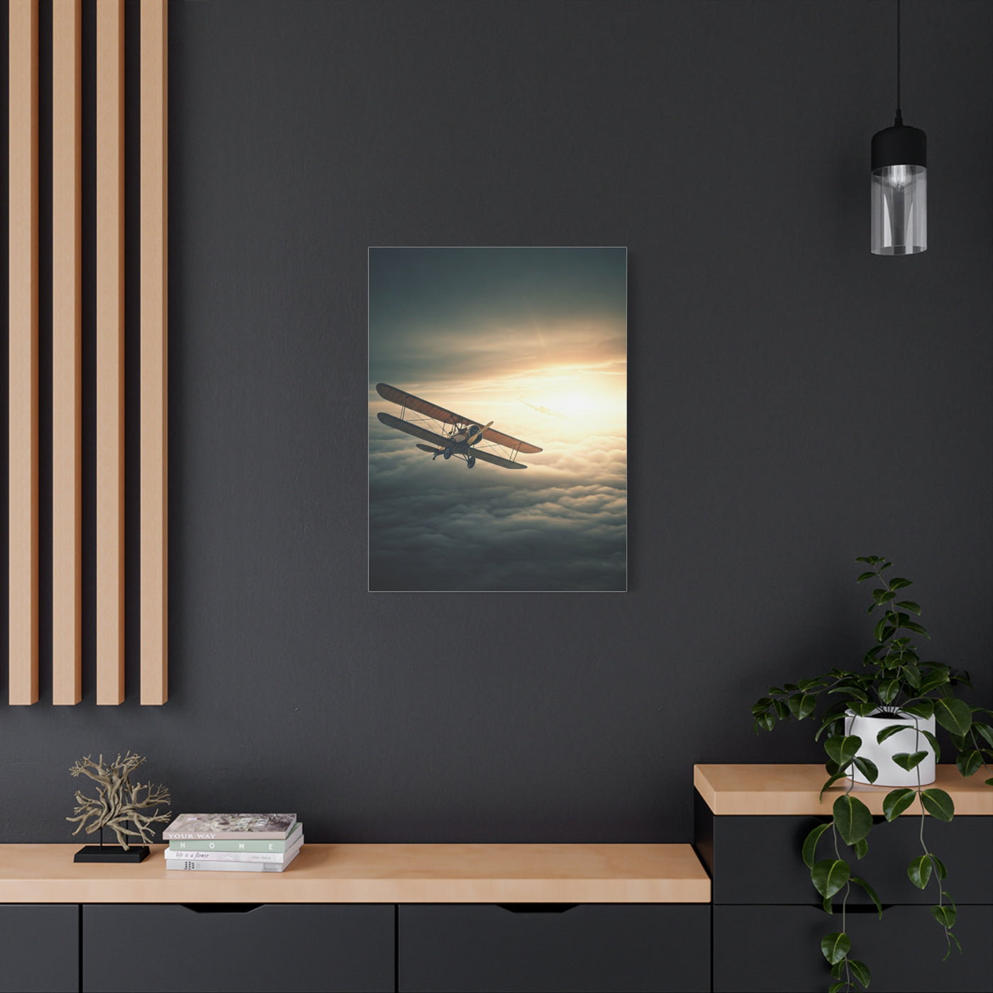 Vintage Biplane Into the Light Wall Art & Canvas Prints