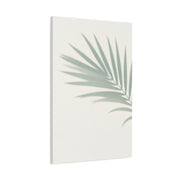 Soft Palm Frond Shadow Minimal Wall Art & Canvas Prints