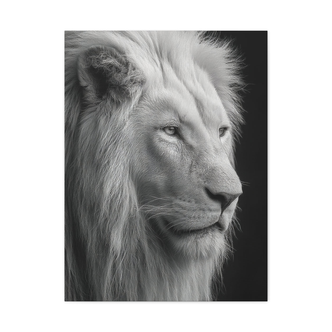 White Lion Monochrome Close Portrait Wall Art & Canvas Print