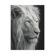 White Lion Monochrome Close Portrait Wall Art & Canvas Print