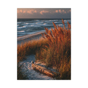 Golden Dune Driftwood Coastal Scene Wall Art & Canvas Print