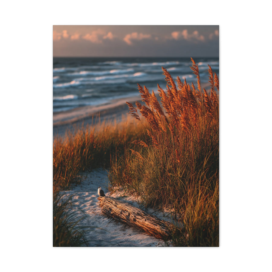 Golden Dune Driftwood Coastal Scene Wall Art & Canvas Print