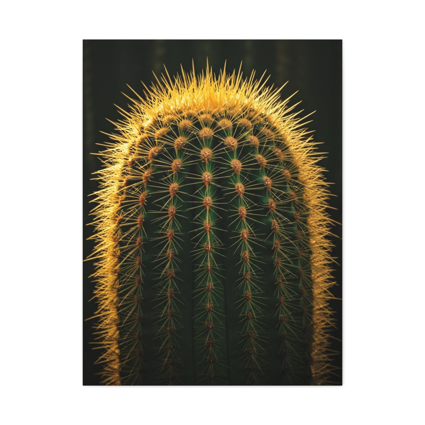 Radiant Barrel Cactus Glow Wall Art & Canvas Prints