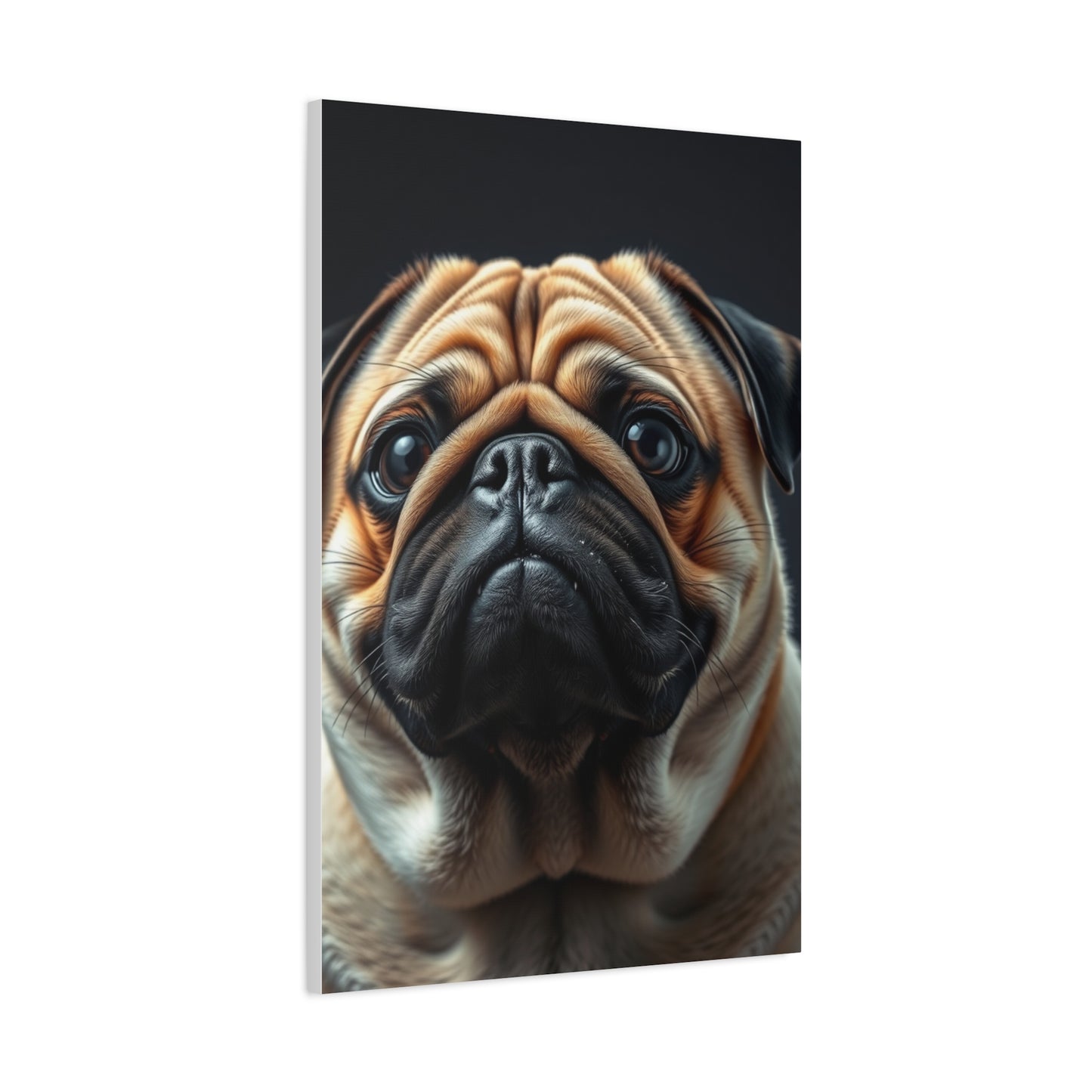 Supreme Pug Art Beautiful Collection Wall Art & Canvas Print