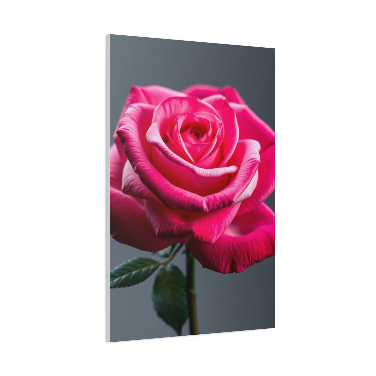Rose Flower Art Luxury Canvas Wall Art & Canvas Print