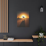 Lone Ostrich in Desert Sunset Wall Art & Canvas Prints