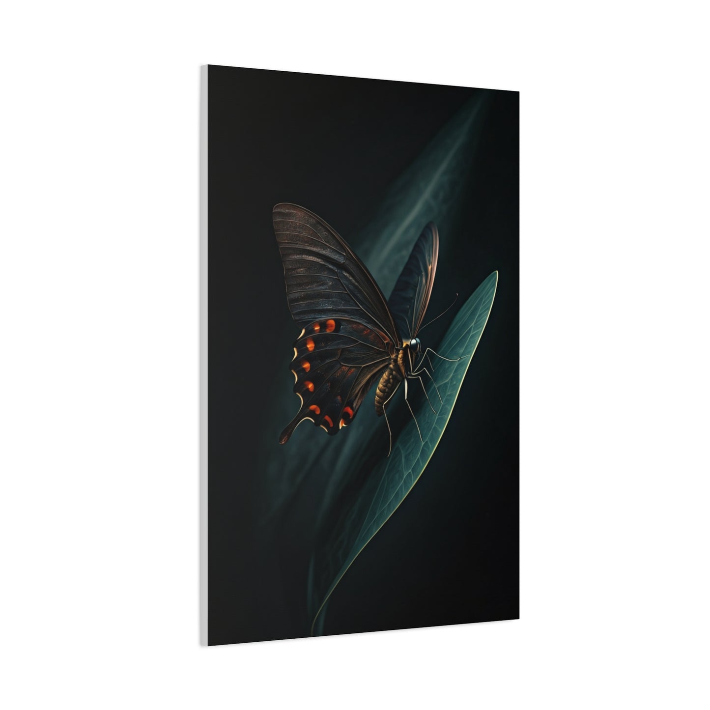Dark Swallowtail Butterfly on Leaf Wall Art & Canvas Prints