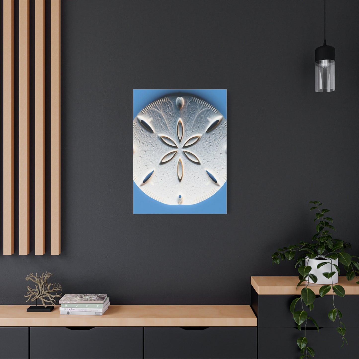 Sand Dollar Art Supreme Canvas Wall Art & Canvas Print