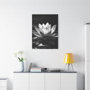 Serene Lotus Reflection Wall Art & Canvas Prints