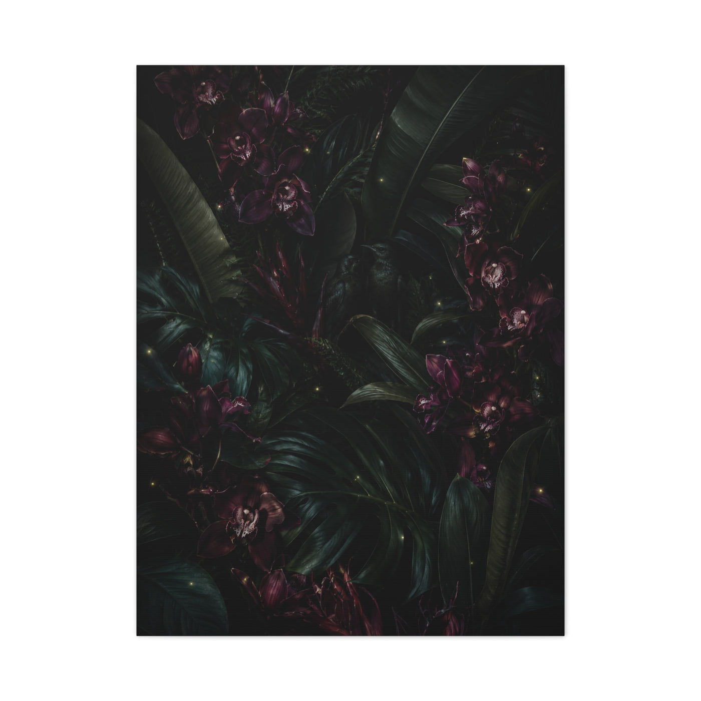 Tropical Noir Orchid Midnight Romance Wall Art & Canvas Print