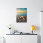 Starfish Resting in Shallow Sunset Waters Wall Art & Canvas Prints