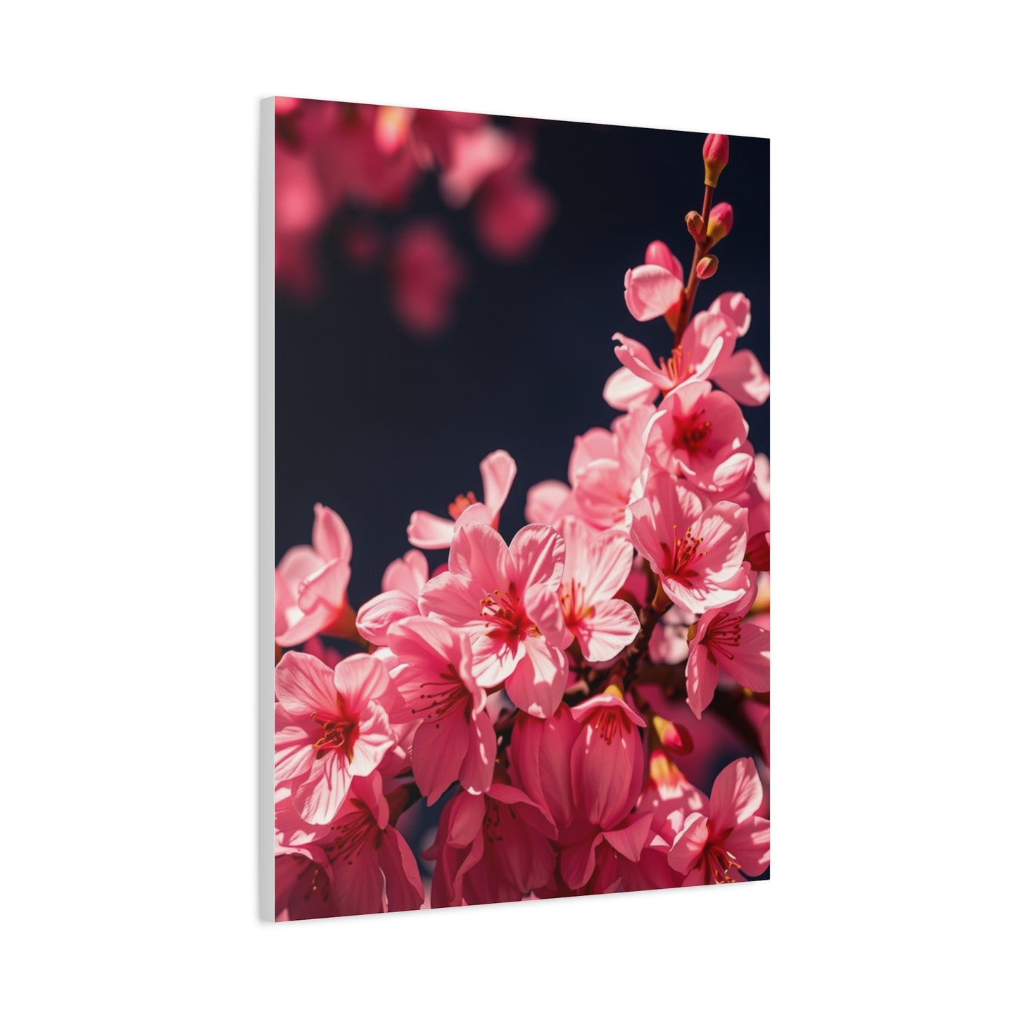 Elite Cherry Blossom Wall Art Vision Wall Art & Canvas Print