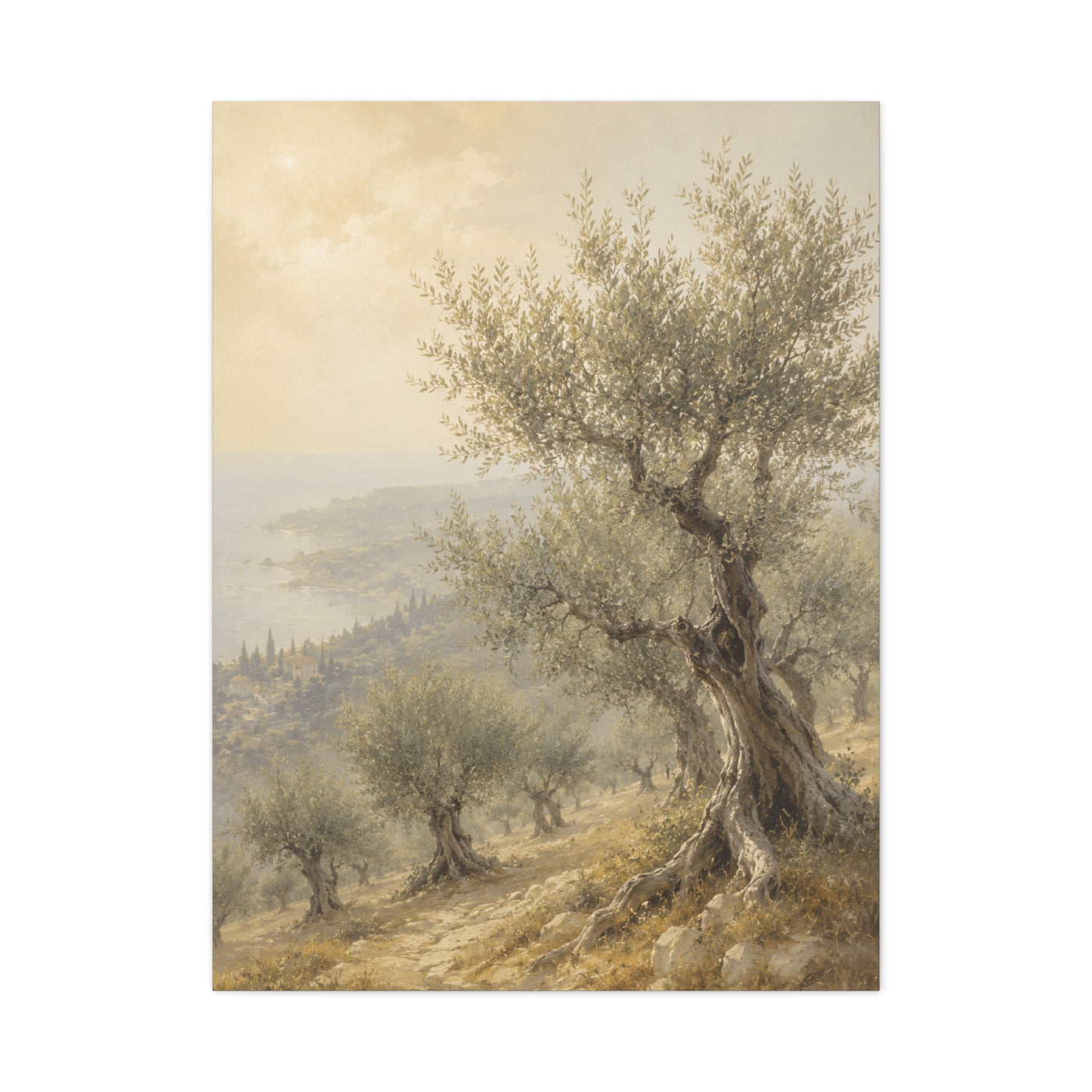 Mediterranean Olive Grove Light Trees Wall Art & Canvas Print