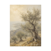 Mediterranean Olive Grove Light Trees Wall Art & Canvas Print