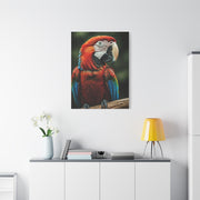 Scarlet Macaw Majesty Wall Art & Canvas Prints