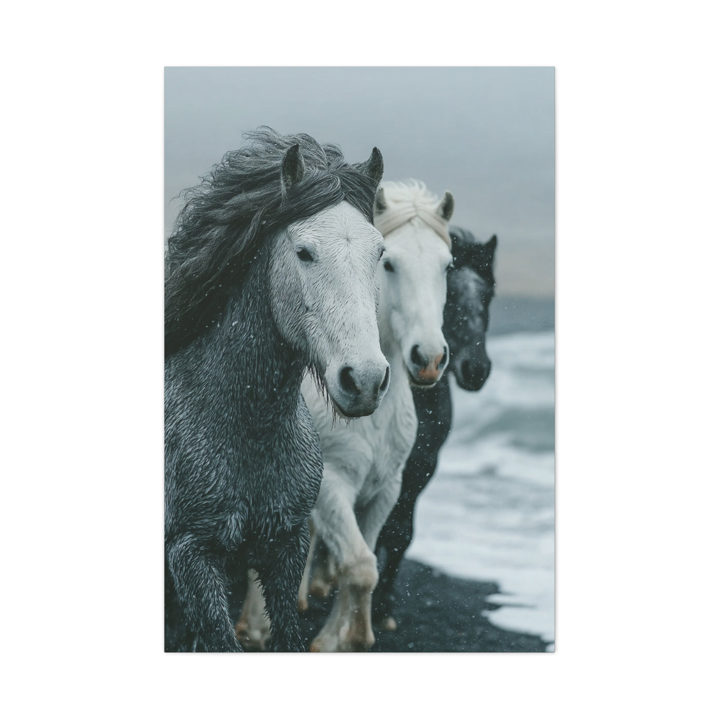 Coastal Wild Horses Storm Run Wall Art & Canvas Print
