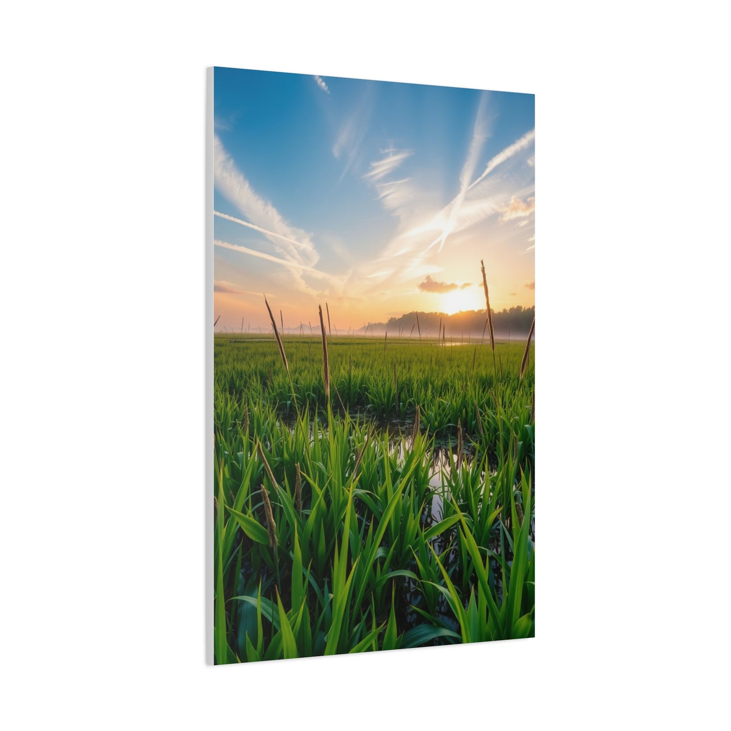 Supreme Marsh & Swamp Art Collection Wall Art & Canvas Print