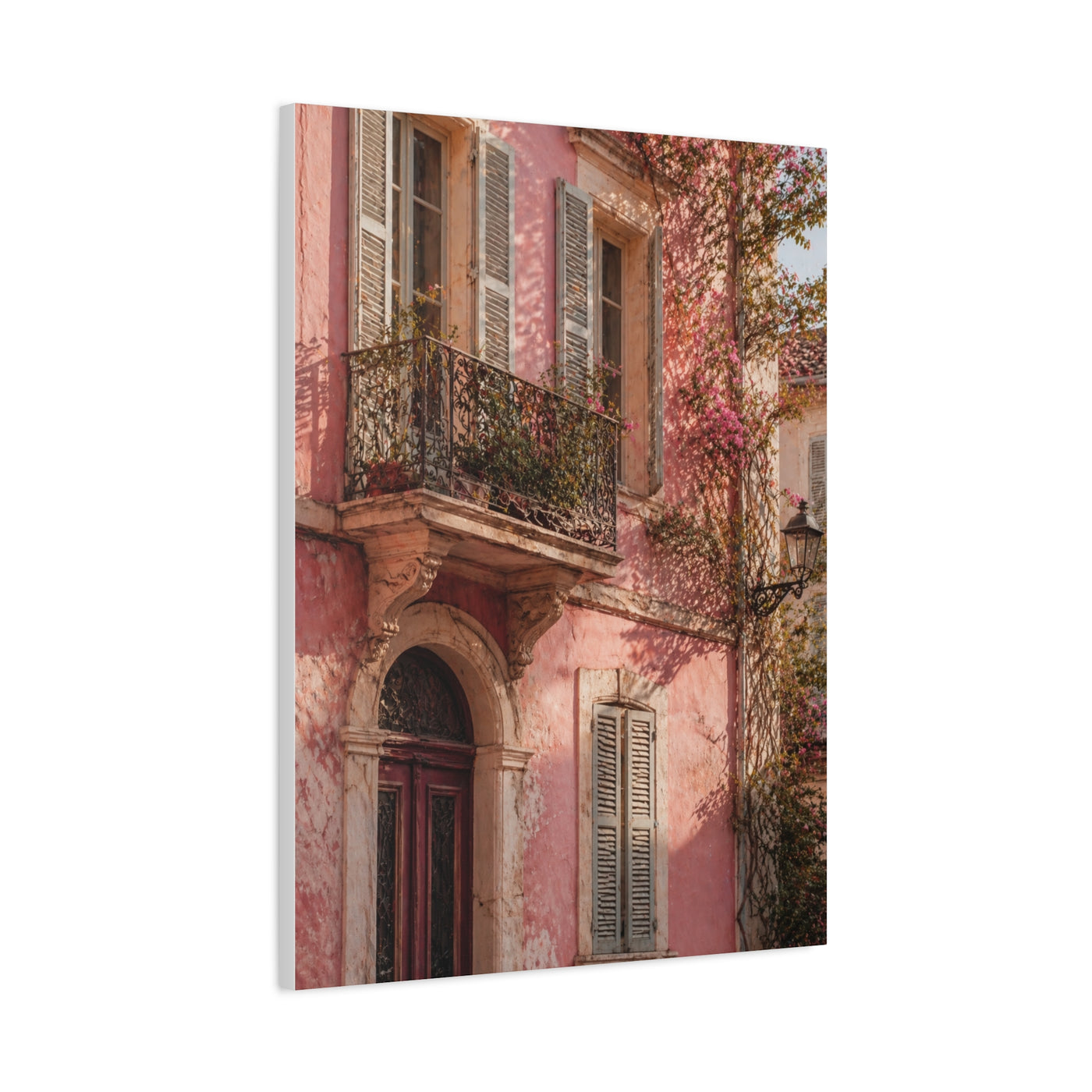 Romantic European Pink Facade Wall Art & Canvas Print