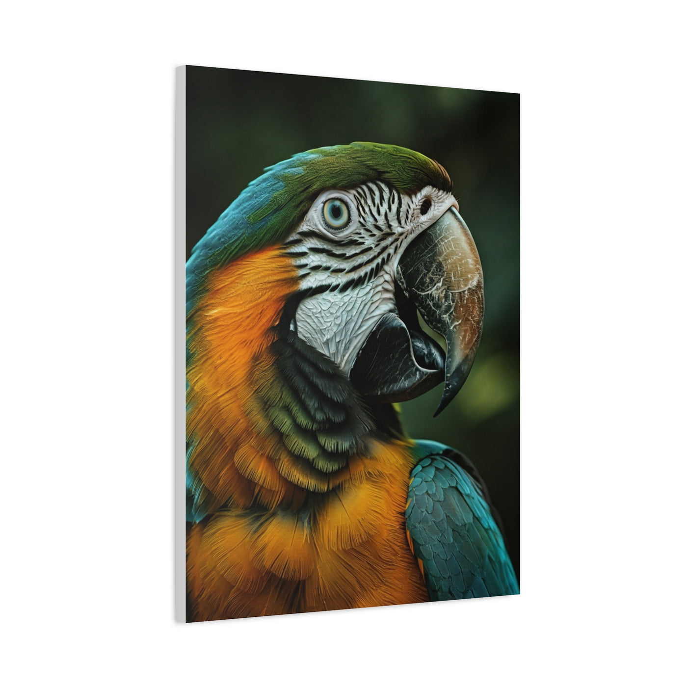 Blue and Gold Macaw Portrait Wall Art & Canvas Prints