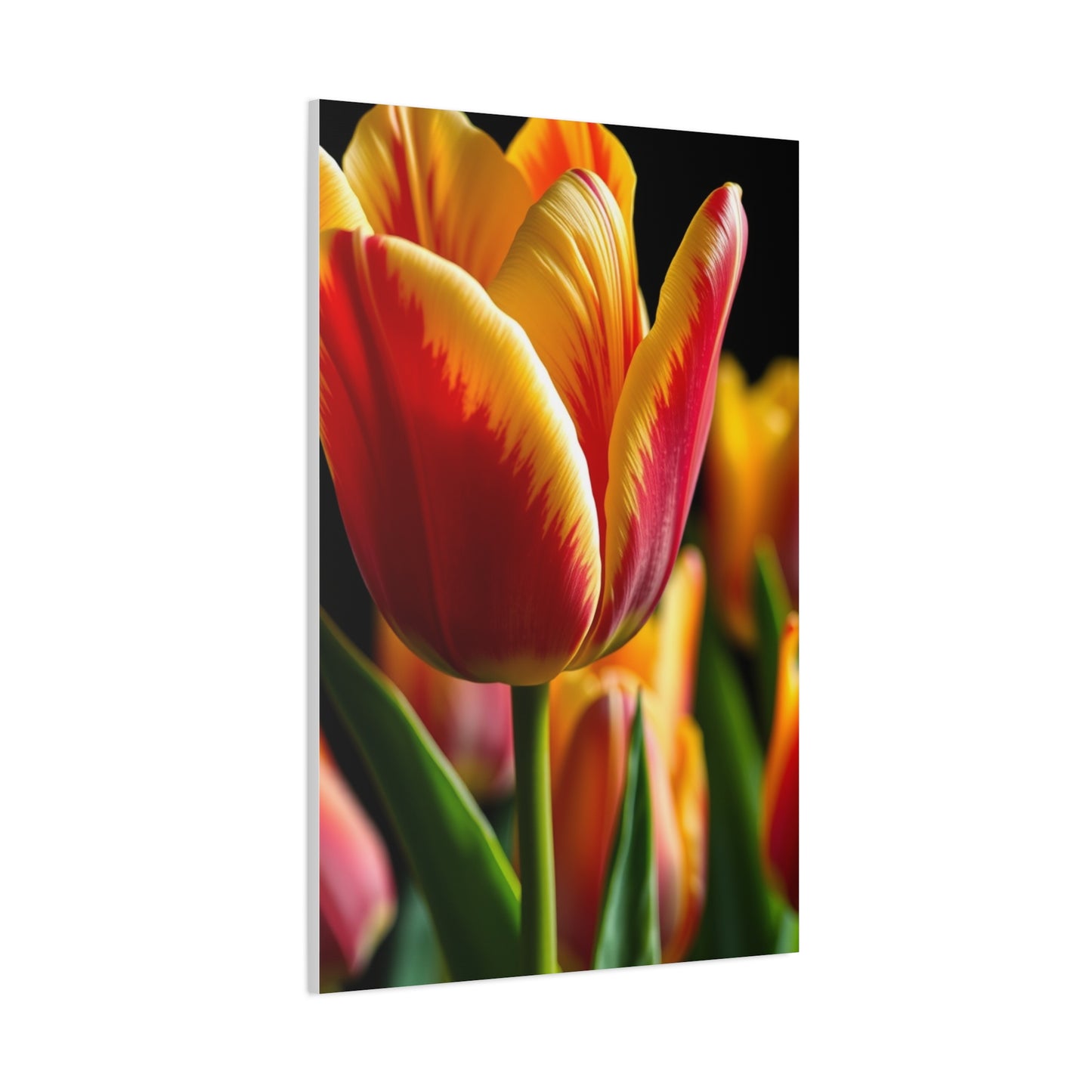 Tulip Flower Art Luxury Canvas Wall Art & Canvas Print