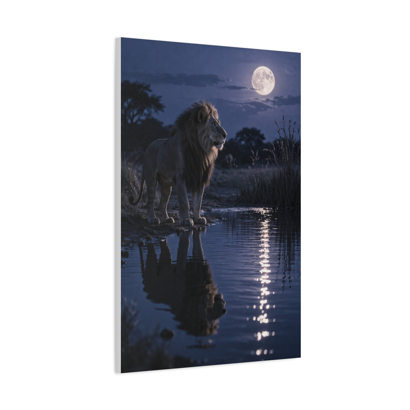 Lion by Moonlit Water Reflection Wall Art & Canvas Print