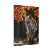 Autumn Forest Path Fox Wall Art & Canvas Print
