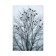 Tree of Crows Silhouette Wall Art & Canvas Print