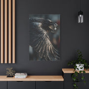 Crow Stealing Diamond Earring Wall Art & Canvas Print