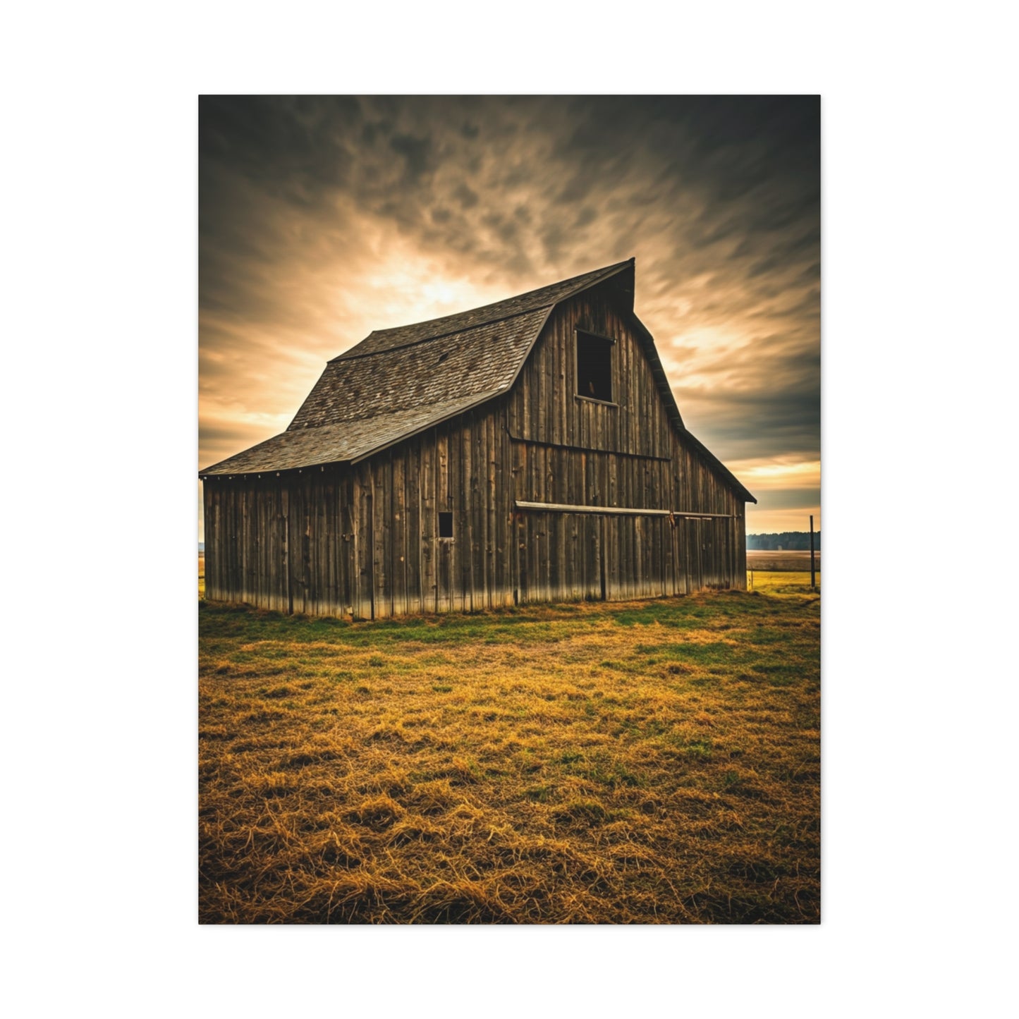 Golden Field Weathered Barn Wall Art & Canvas Prints