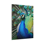 Vibrant Peacock Portrait Wall Art & Canvas Prints