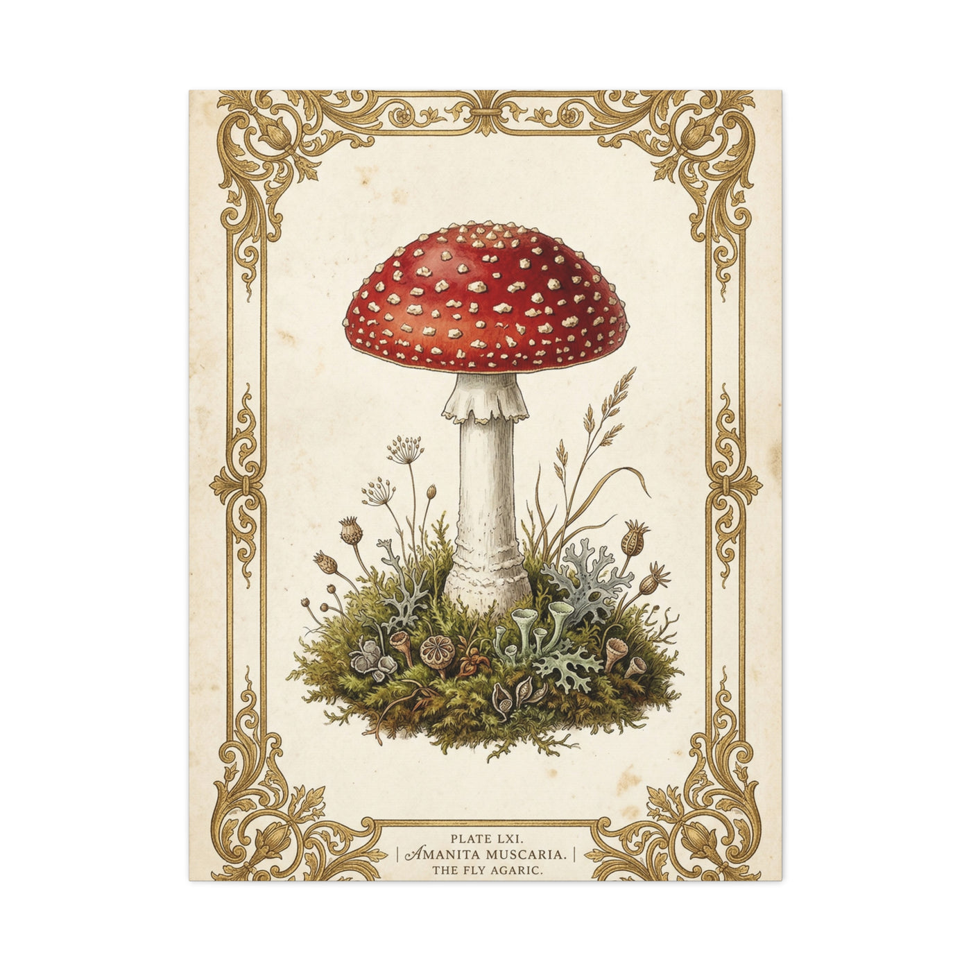 Victorian Botanical Mycology Plate Wall Art & Canvas Print
