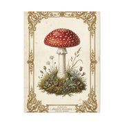 Victorian Botanical Mycology Plate Wall Art & Canvas Print