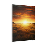 Sunrise Over Wild Grasslands Wall Art & Canvas Prints