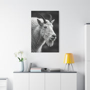 Alpine Goat Portrait Wall Art & Canvas Prints