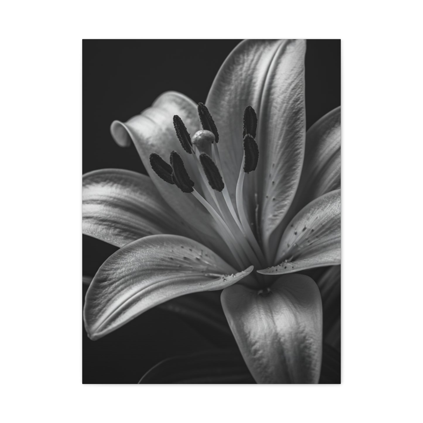Lavender Silhouette in Low Light Wall Art & Canvas Prints