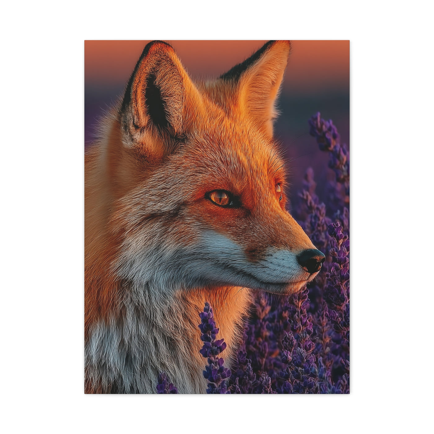 Lavender Field Fox Sunrise Wall Art & Canvas Print