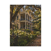 Garden District Mansion Under Live Oaks Wall Art & Canvas Print