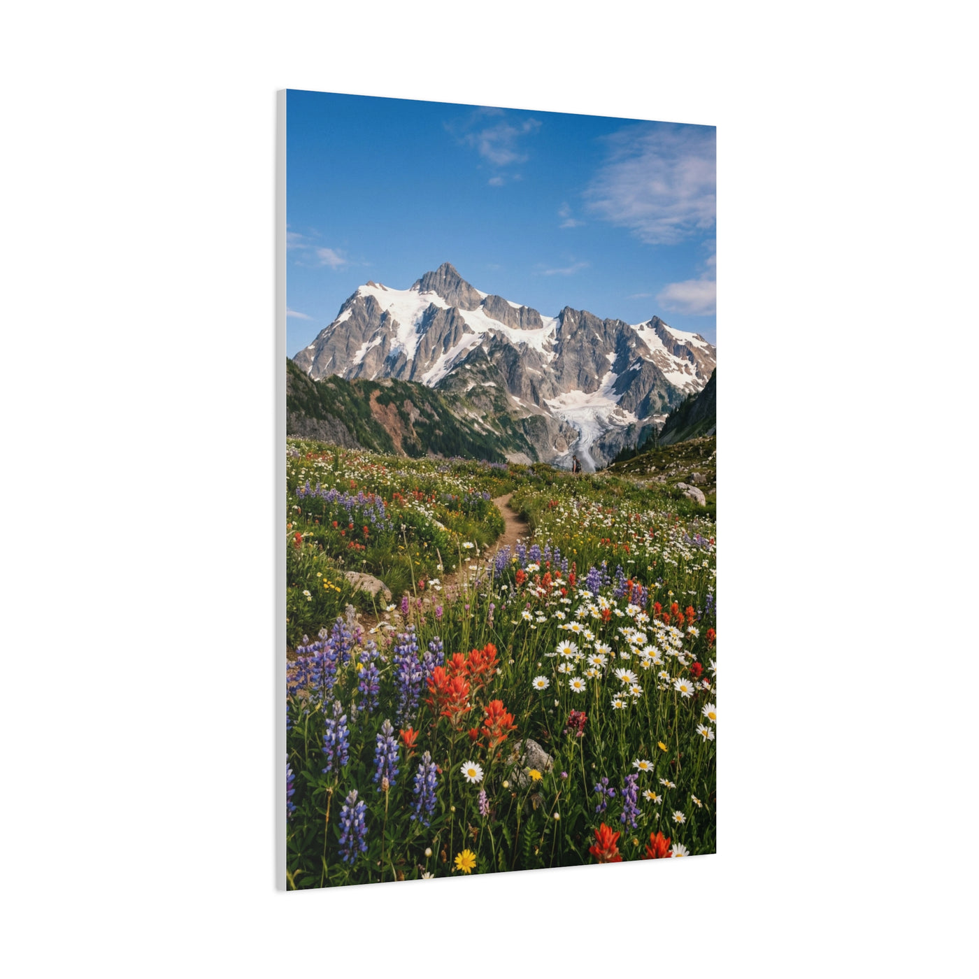 High Alpine Wildflower Meadow Wall Art & Canvas Print