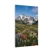 High Alpine Wildflower Meadow Wall Art & Canvas Print
