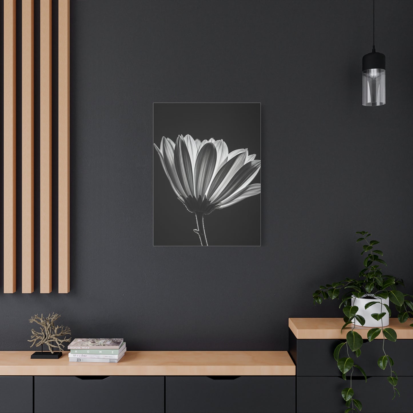 Classic Gerbera Bloom in Shadow Wall Art & Canvas Prints