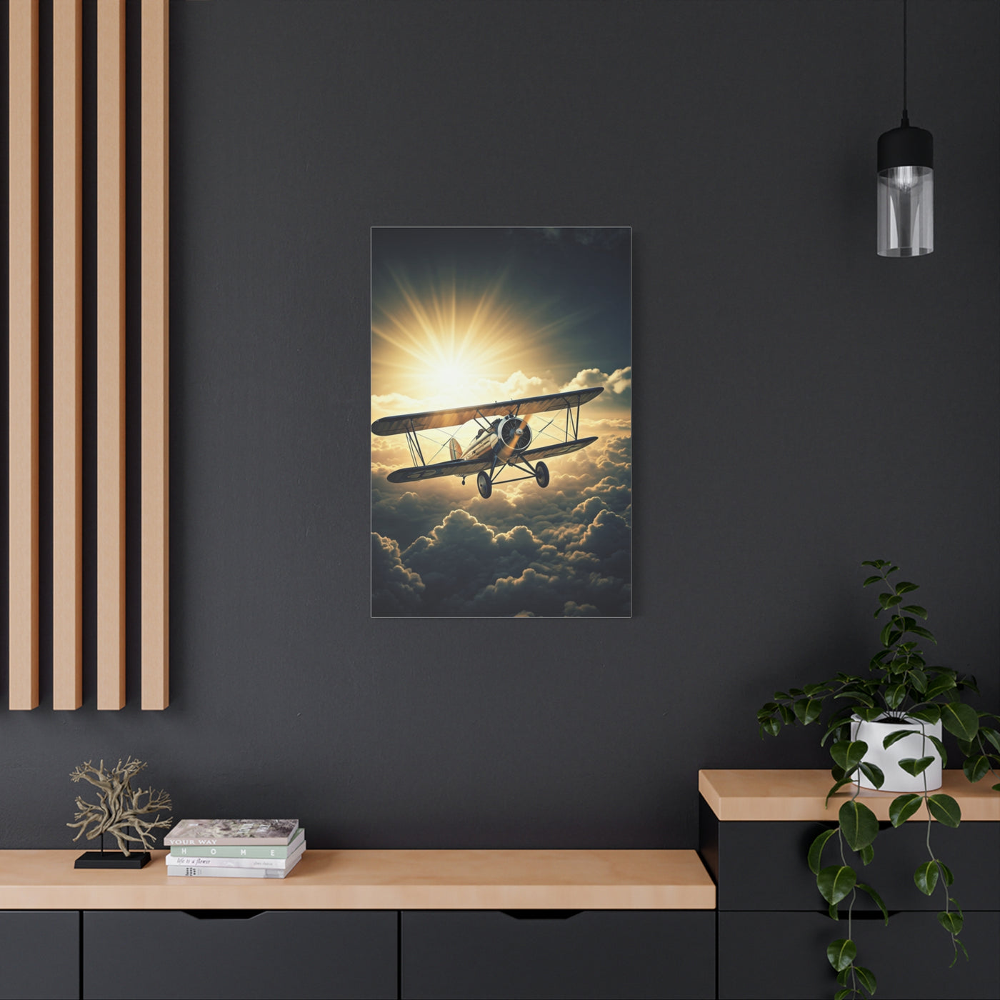 Sunlit Vintage Biplane Flight Wall Art & Canvas Prints