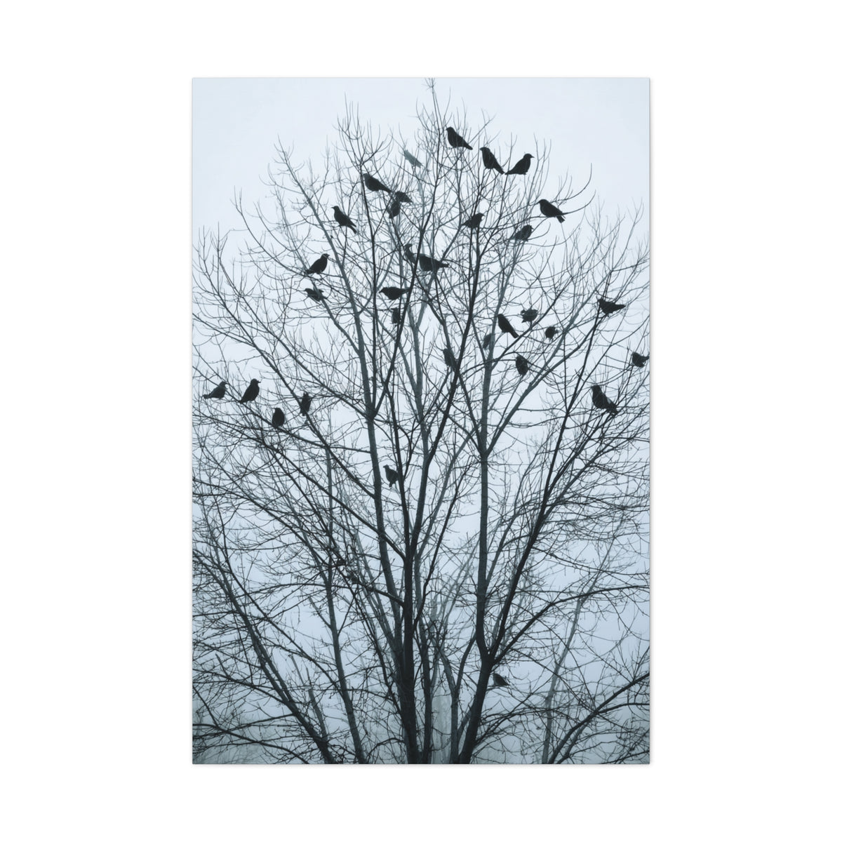 Tree of Crows Silhouette Wall Art & Canvas Print
