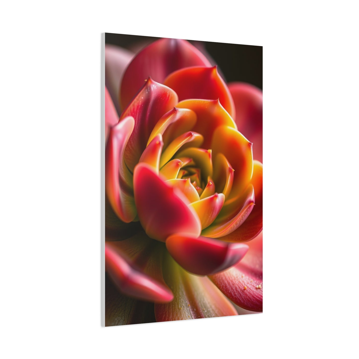Supreme Succulent Art Beautiful Collection Wall Art & Canvas Print