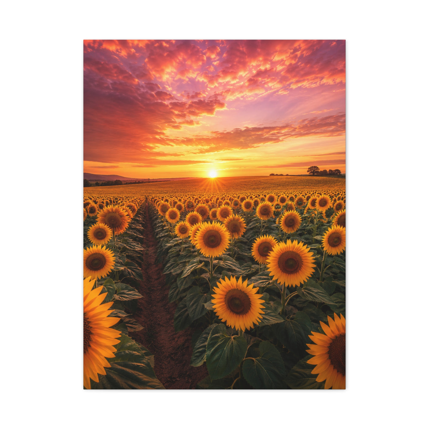 Golden Horizon Sunflower Field Wall Art & Canvas Print