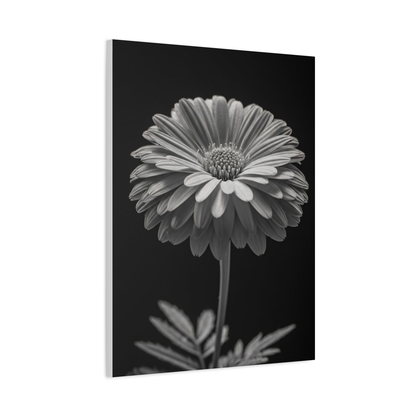 Classic Gerbera Portrait Wall Art & Canvas Prints