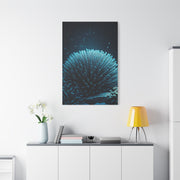 Coral Reef Glow in Deep Blue Ocean Wall Art & Canvas Prints