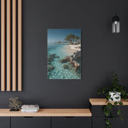 Tropical Driftwood Cove Wall Art & Canvas Print