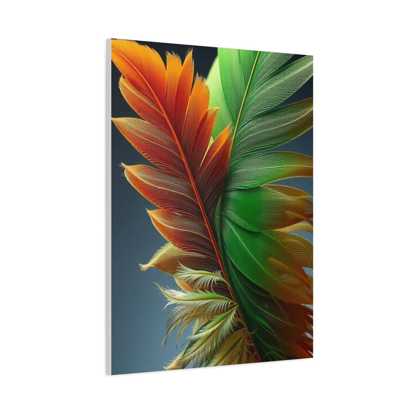 Supreme Feather Art Beautiful Collection Wall Art & Canvas Print
