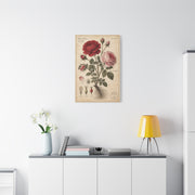 Victorian Rose Botanical Study Wall Art & Canvas Print